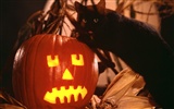Halloween Téma Tapety na plochu (1) #2