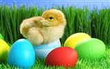 Easter Egg fond d'écran (3)