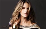 Alessandra Ambrosio beautiful wallpaper (2)