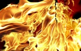 Flamme d'entité HD Wallpaper #2