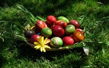 Velikonoční vajíčko tapetu (4) #9