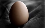 Huevo de Pascua fondo de pantalla (4) #16