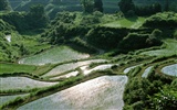 Campo de fondo de pantalla de fotos #13