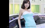 2010.04.24 Beijing International Auto Show (Linquan Qing Yun Werke) #17