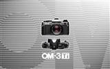 OLYMPUS 奥林巴斯 壁纸(四)4