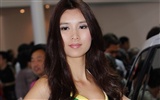 2010 Beijing International Auto Show beauty (rebar works) #4