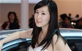 2010 Beijing International Auto Show beauty (rebar works) #5