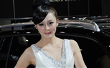 2010 Beijing International Auto Show beauty (rebar works) #10