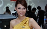 2010 Beijing International Auto Show beauty (rebar works) #14