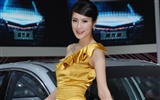 2010北京国际车展 美女车模 (螺纹钢作品)15