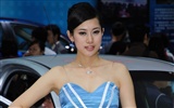 2010北京国际车展 美女车模 (螺纹钢作品)16