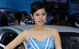 2010 Beijing Auto Show Internacional de belleza (obras barras) #16