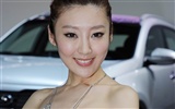 2010 Beijing International Auto Show beauty (rebar works) #41778