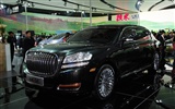 2010 Beijing International Auto Show Heung Che (Bewehren) #6