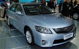 2010 Beijing International Auto Show Heung Che (rebar works) #22