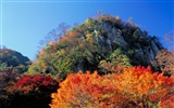 Widescreen-Wallpaper japanischen Landschaft