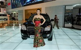 2010 v Pekingu Mezinárodním autosalonu Heung Che krása (prutu práce) #4