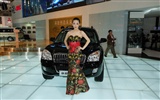 2010 Beijing International Auto Show Heung Che beauty (rebar works) #4