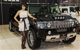 2010 Beijing International Auto Show Heung Che beauty (rebar works) #5