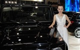 2010 v Pekingu Mezinárodním autosalonu Heung Che krása (prutu práce) #7