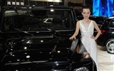 2010 Beijing International Auto Show Heung Che beauty (rebar works) #7