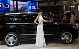 2010 Beijing International Auto Show Heung Che beauty (rebar works) #8