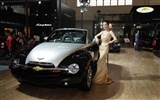 2010北京国際自動車ショー興チェの美しさ (鉄筋の作品) #15