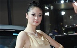 2010 Beijing International Auto Show Heung Che beauty (rebar works) #16