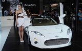 2010 Beijing International Auto Show Heung Che beauty (rebar works) #17