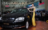 2010 Beijing International Auto Show Heung Che beauté (œuvres des barres d'armature) #20