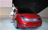 2010 Beijing International Auto Show Heung Che Schönheit (Bewehren) #24