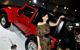 2010 Beijing Auto Show zu sehen (Schlamm stecken King Werke)
