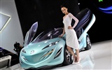 2010 Beijing Auto Show zu sehen (Schlamm stecken King Werke) #2