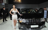 2010 Beijing Auto Show zu sehen (Schlamm stecken King Werke) #10