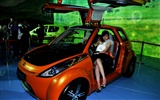 2010 Beijing Auto Show zu sehen (Schlamm stecken King Werke) #14