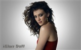 Hilary Duff schöne Tapete #14