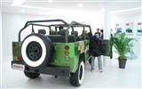 2010北京國際車展(一) (z321x123作品) #12