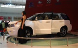 2010 Beijing International Auto Show (1) (z321x123 works) #15