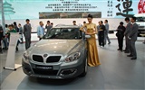 2010北京国际车展(一) (z321x123作品)18