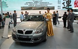 2010 Beijing International Auto Show (1) (z321x123 works) #18