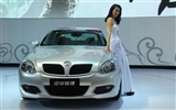 2010 Beijing International Auto Show (1) (z321x123 works) #19