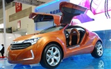 2010 Beijing International Auto Show (1) (z321x123 Werke) #28