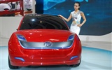 2010 v Pekingu mezinárodní automobilové výstavy (1) (z321x123 práce) #34