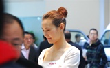 2010 Beijing International Auto Show (3) (z321x123 works) #14