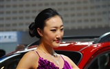 2010北京国際自動車ショー (3) (z321x123作品) #27