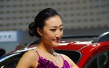 2010 Beijing International Auto Show (3) (z321x123 works) #27