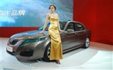 2010 v Pekingu mezinárodní automobilové výstavy (2) (z321x123 práce) #2