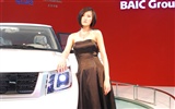2010 v Pekingu mezinárodní automobilové výstavy (2) (z321x123 práce) #3