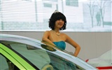 2010 v Pekingu mezinárodní automobilové výstavy (2) (z321x123 práce) #9