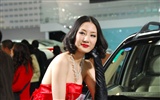 2010 Beijing International Auto Show (2) (z321x123 Werke) #10